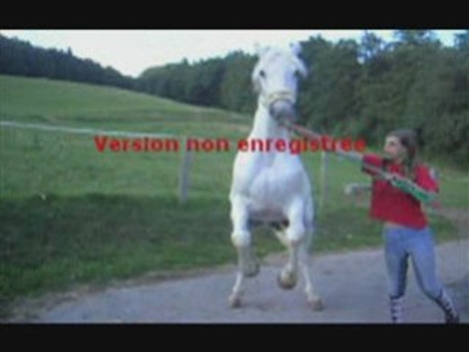 Colin qui cabre