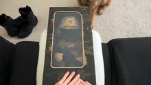🇺🇸🐕 USA Army Dog: The Bravest Soldier on Four Legs! 🔥