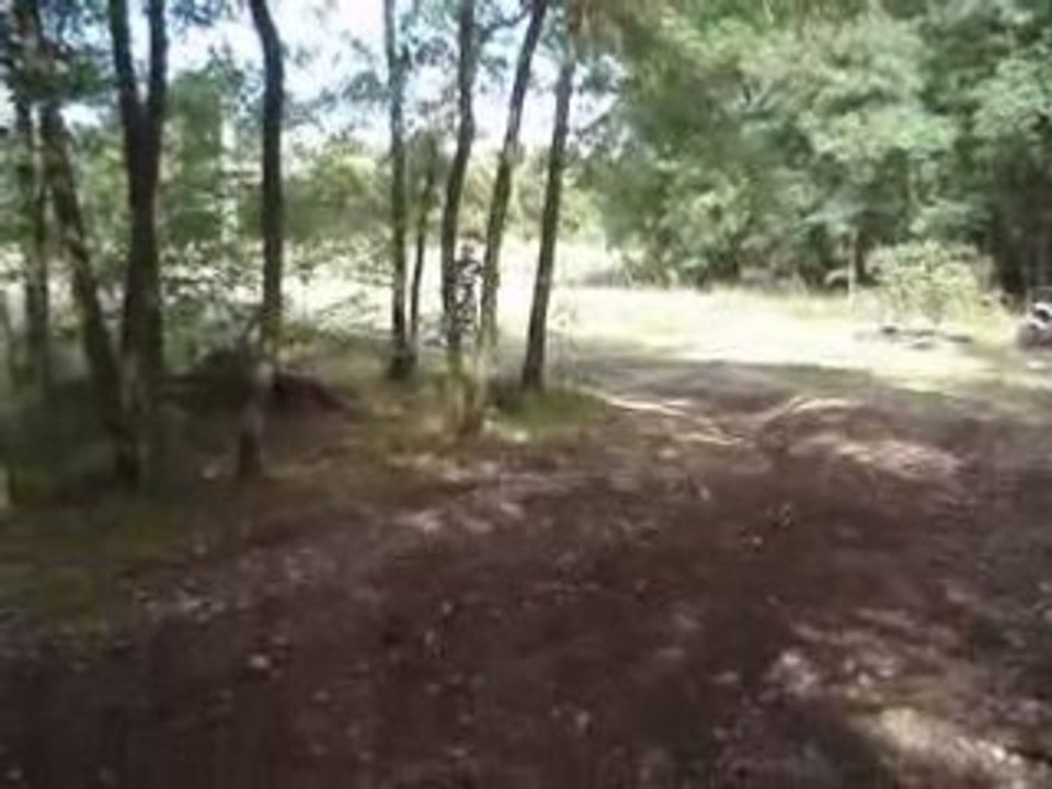 MOV01877