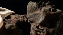 Neskhaim Mummy Discovery
