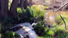 Judge overturn heritage order that stalled NSW mine