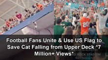 Incredible stadium rescue as football fans unite to catch a cat falling from the upper deck