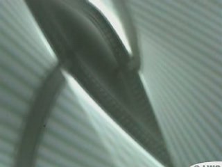 Eventail de néons à la galerie Richard (LWO 2007)