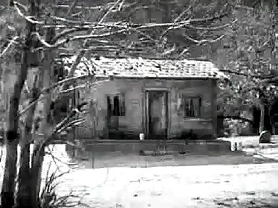 Trapped in the Crossfire - video Dailymotion