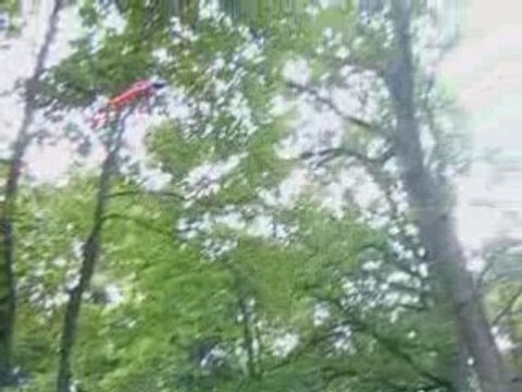 Esky Dauphin 2.4Ghz helicoptere rc