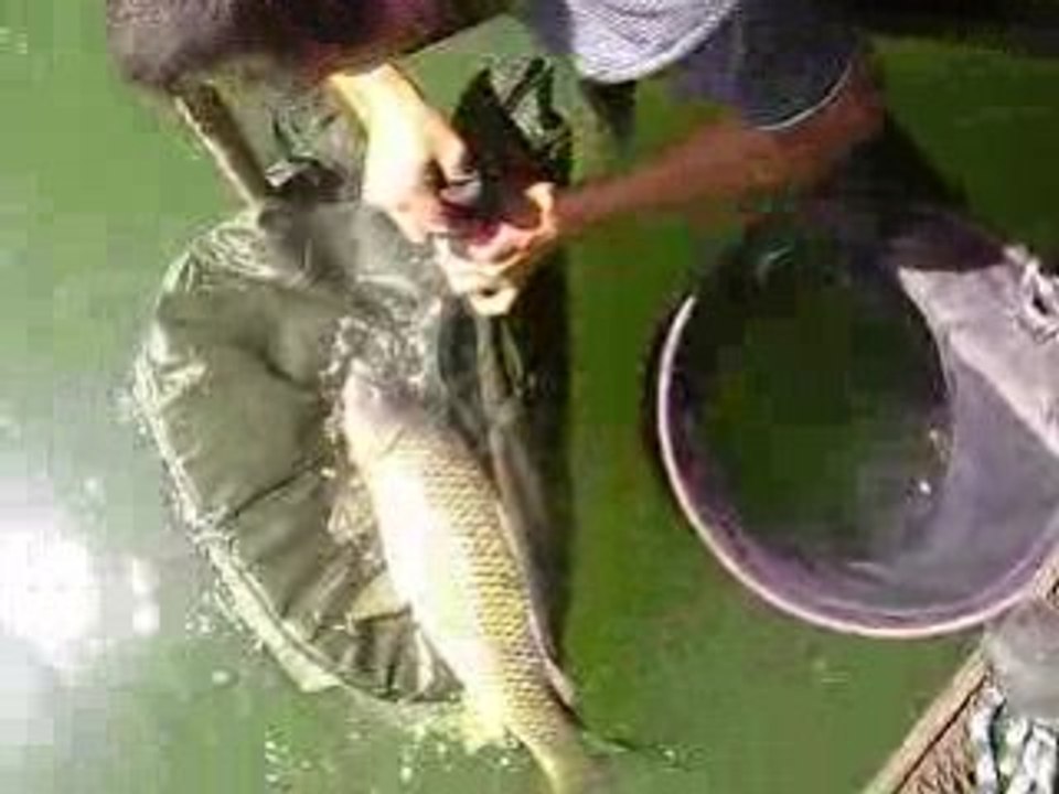 MOV00149