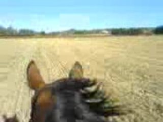 Galop dans les chaumes 2008 et oui encore