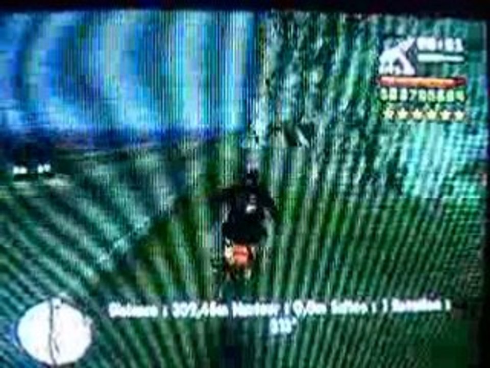 GTA S.A. physical bug