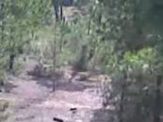 Tyrolienne XXXL 400 mètres, plus longue d'Europe