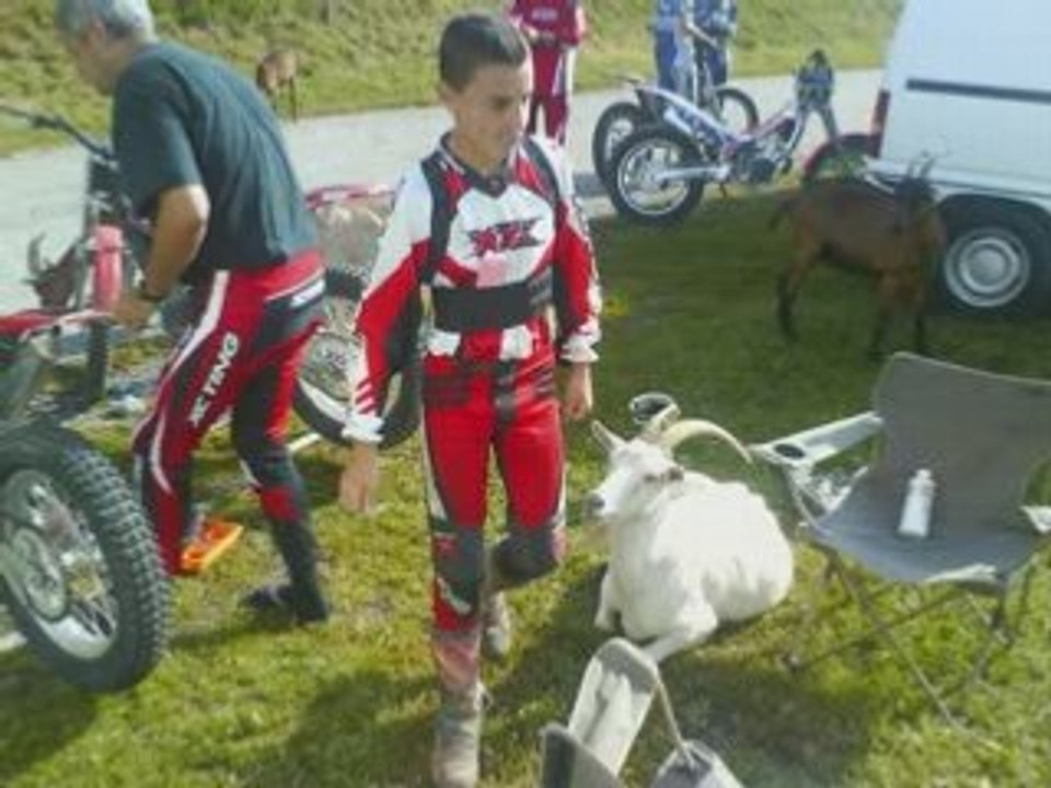 Vac 2008