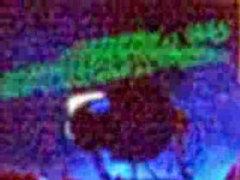 Joachim Garraud @ Invasion 2008 Marseille