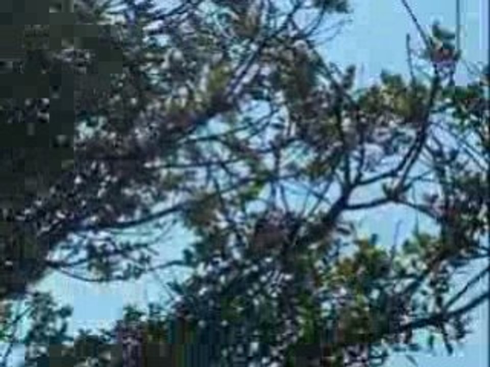 Remorquage 2eme essai