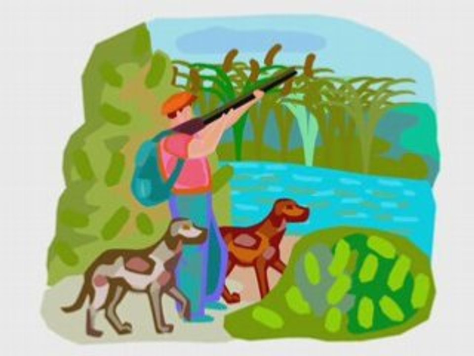 French property hunter