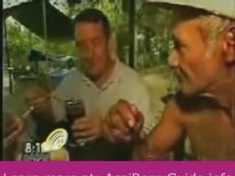 Acai Berry Juice Oprah Diet Plan Cleanse Superfoods