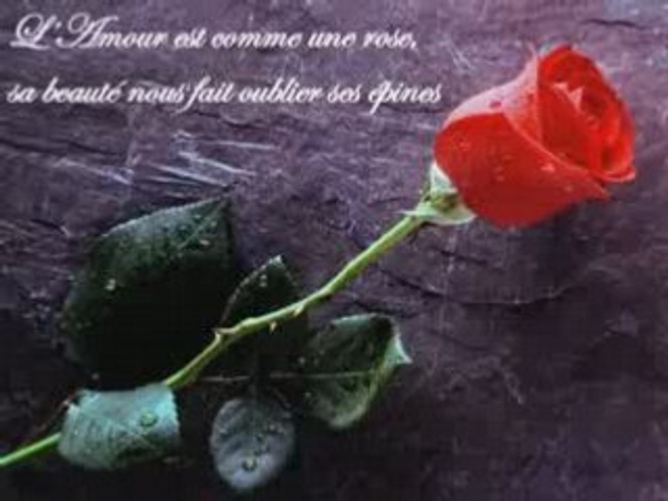 c'est ce dont je reve pour Laura mon amour(fait par moi)