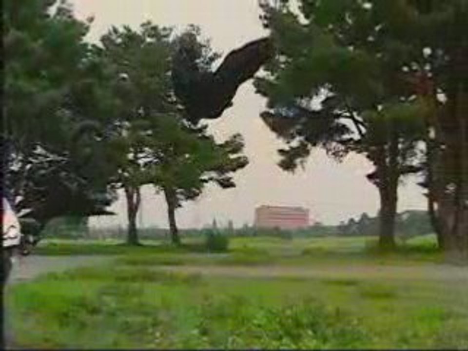 仮面ライダーMovie