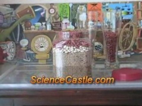 Plants Science Kit - Beans Explosion Science Experiment