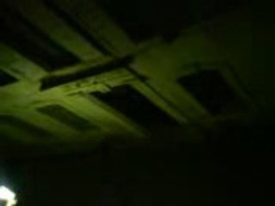 Le cri de la chouette hulotte