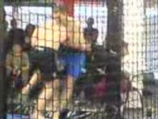 MMA the scorpion  back kicks technics