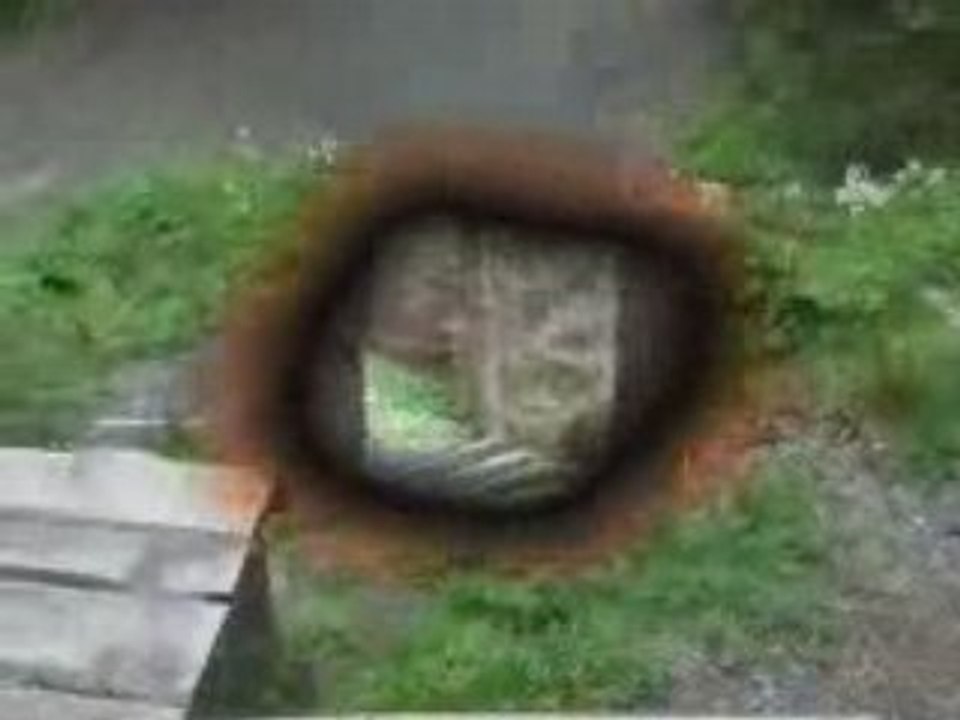 Leogang Downhill Freeride 2006