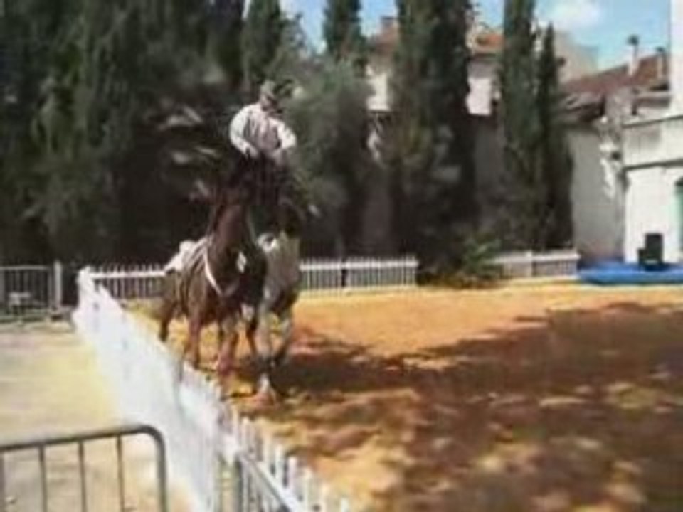 Théatre Equestre - Laurent Douziech 1