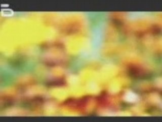 Himn Na Republika Bulgaria