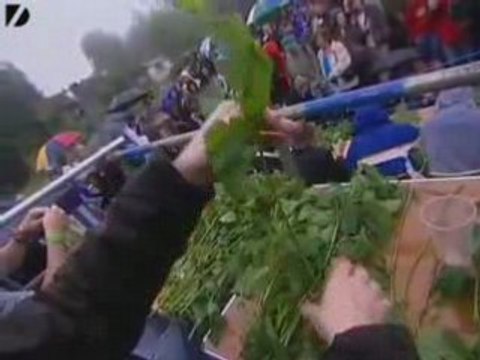 Nettle Eating Championship