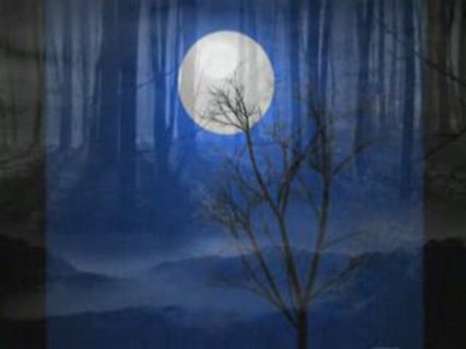 Vanessa Mae - Night Flight
