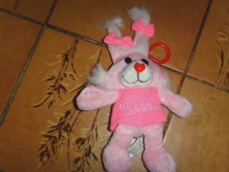 Video de les nounours a bray-dune