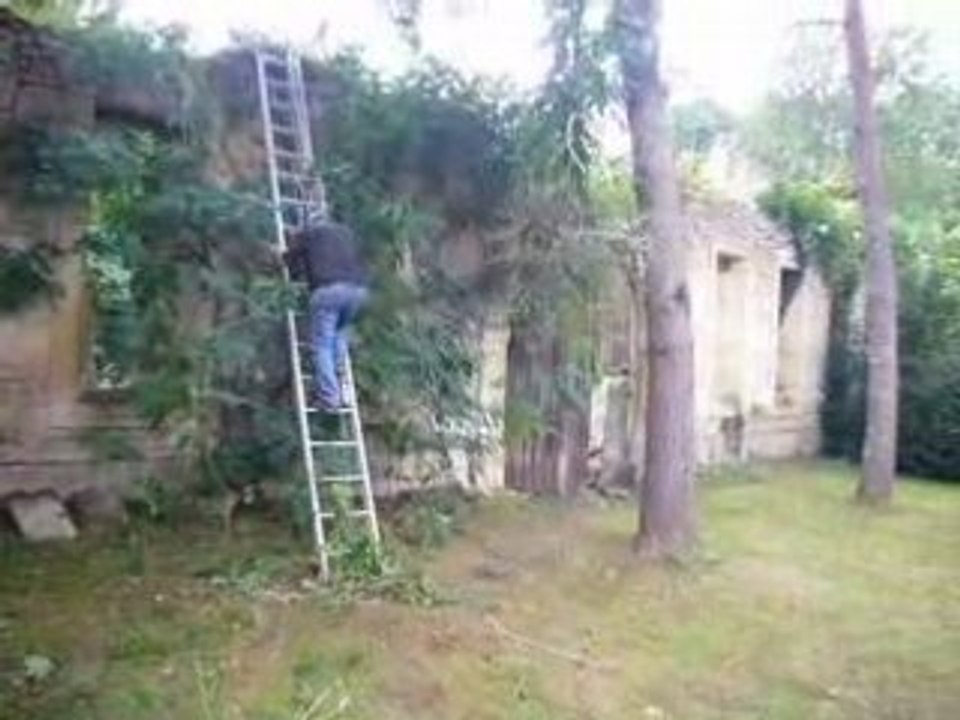 Papy Tonton en action