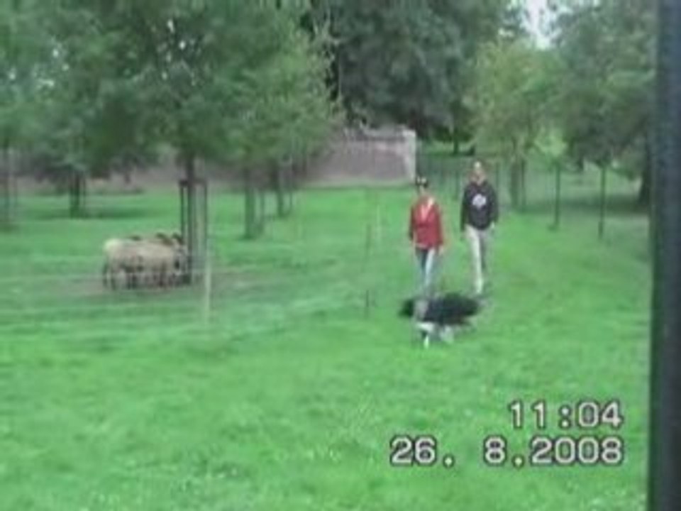 Maxdoische2