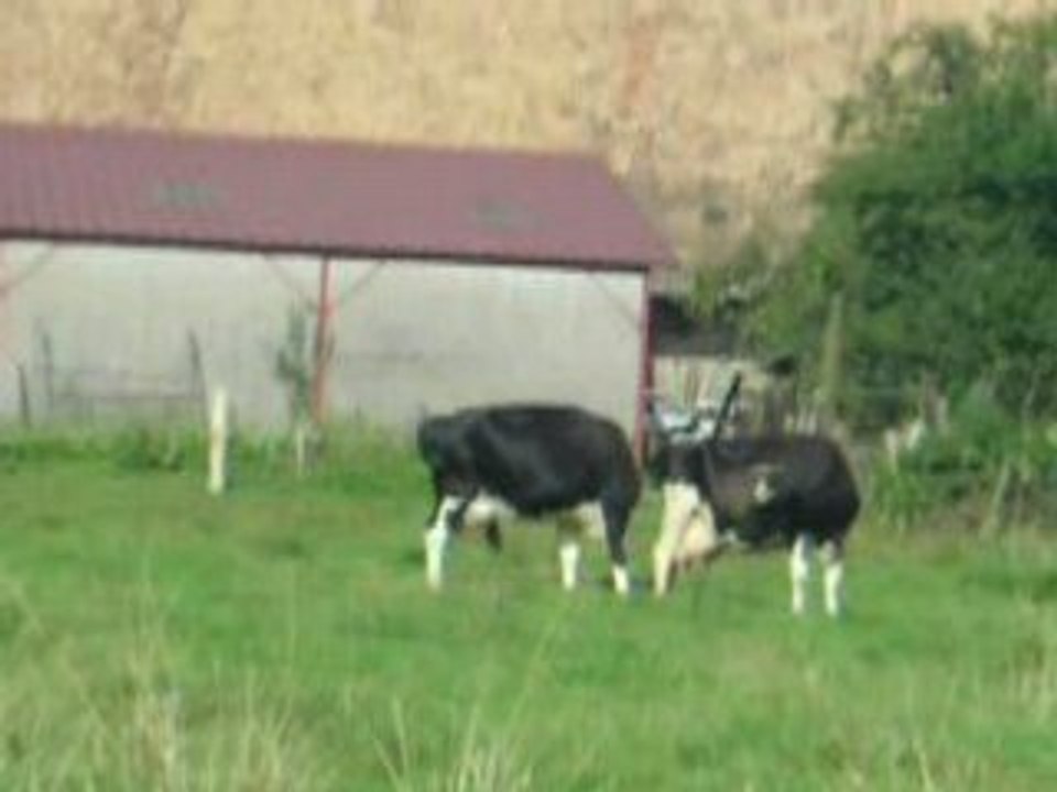 DSCN0622