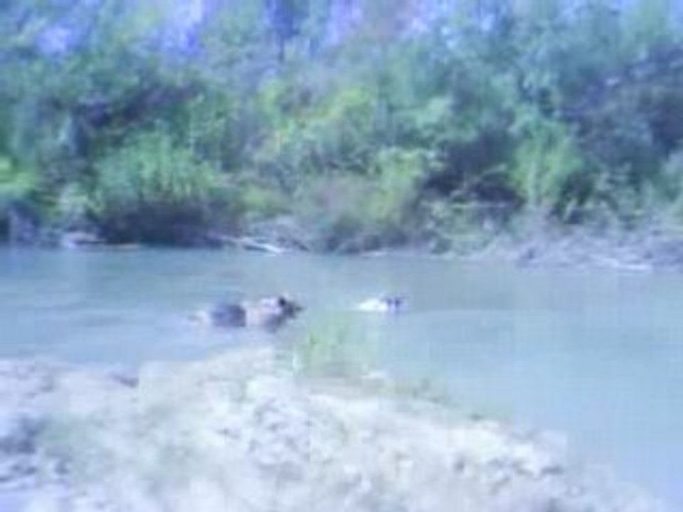 Baignade 001
