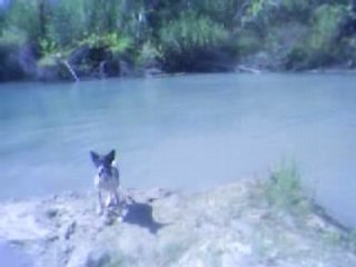 Baignade 006