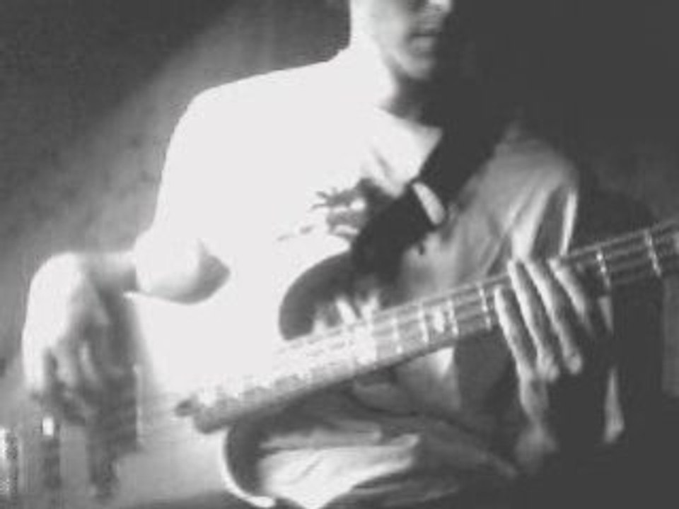 Queens Of The Stone Age - Go With The Flow [Bass Cover]