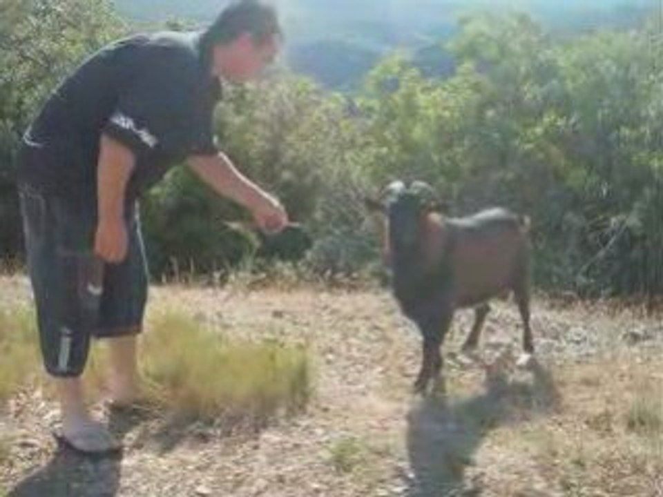 GORGES DE L ARDECHE
