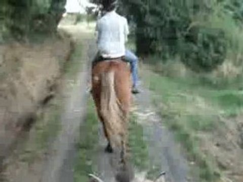 balade du 26-08 galop