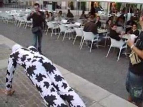 Enterrement vie de garçon seb 2