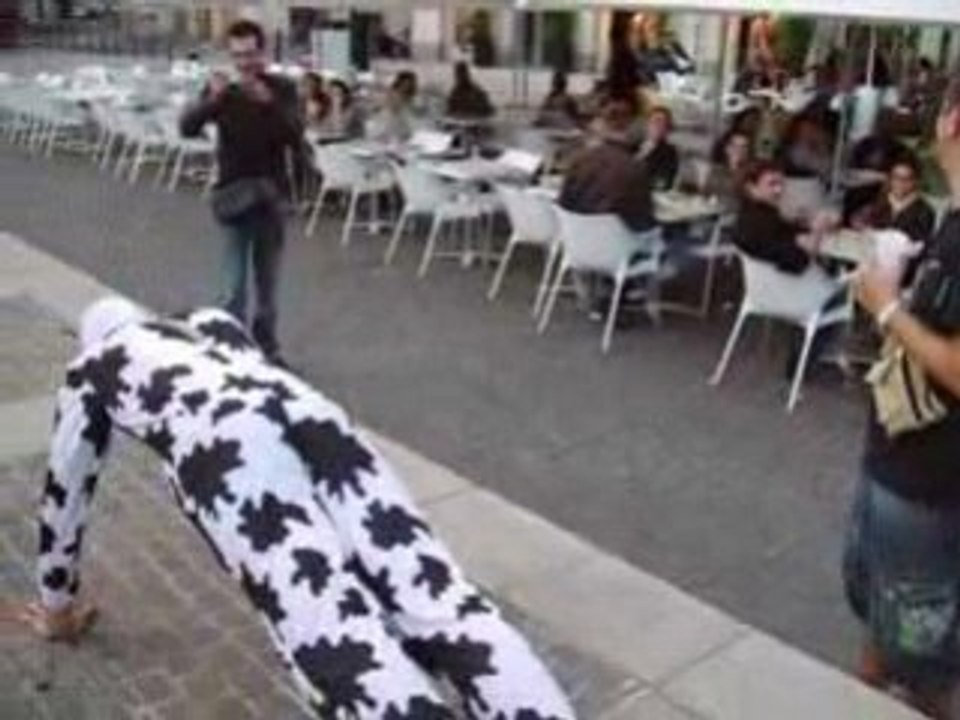 Enterrement vie de garçon seb 2