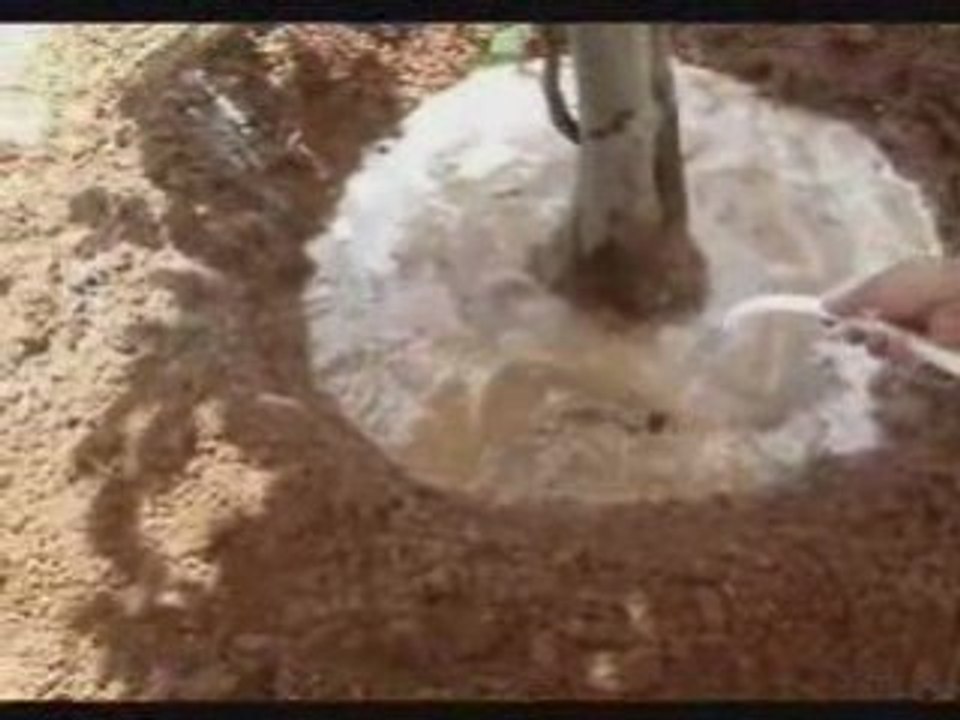EcoSorb - Nem Koruyucu ve Bitki Geliştirici