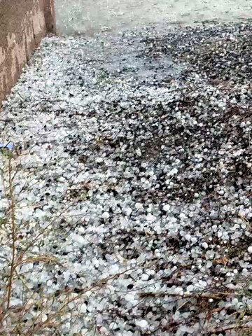 Hail in Sharjah