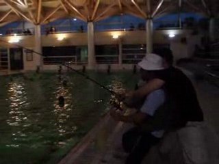 La pêche du poisson pigeon