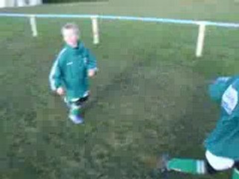 Poussins de Saint Eloy de Gy