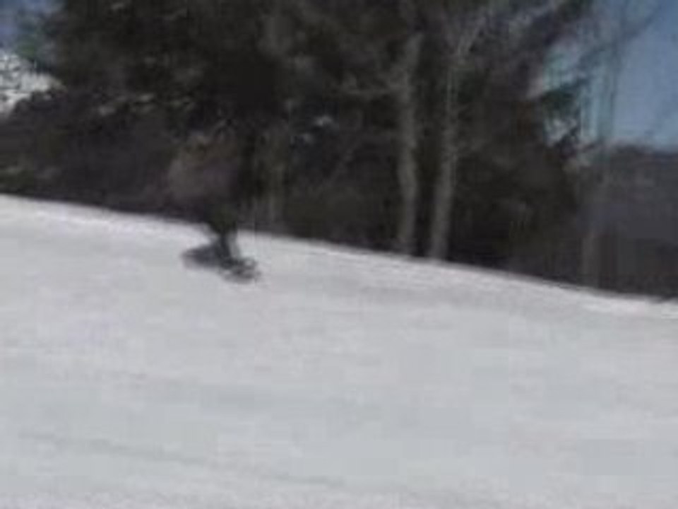 Session snowboard