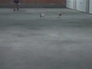 200808 Course poursuite dans les garages