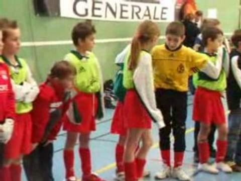 Poussins des Terres Vives