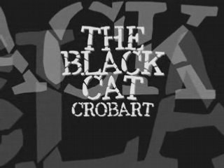 The blAck cAt Crobart (Mario Theme)