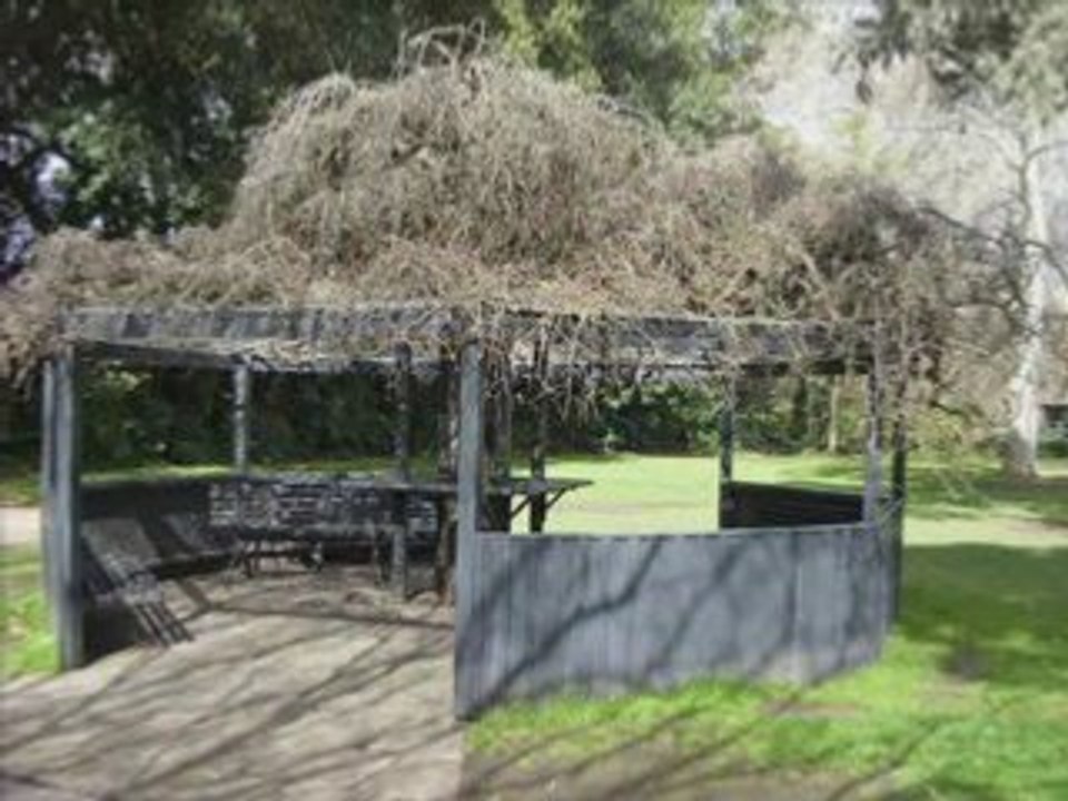 Adelaide Botanic Garden_3