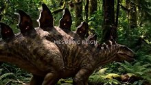 The Dinosaur Covered in Spikes From Head to Tail