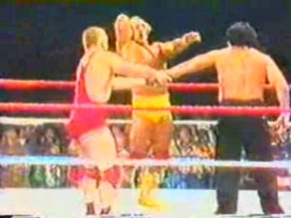 Hogan and backlund vs chung fuji